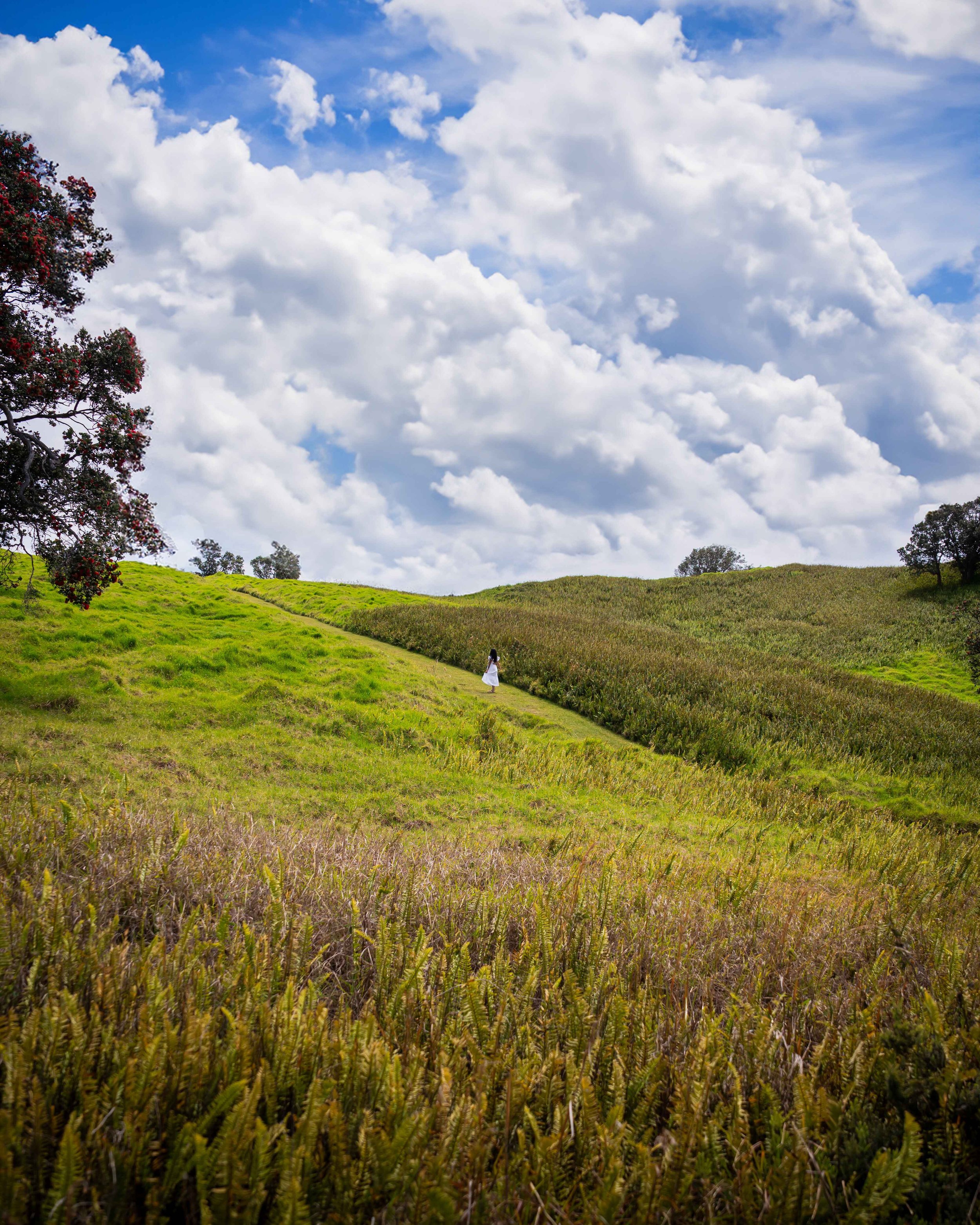 _DSC9867 2.jpg