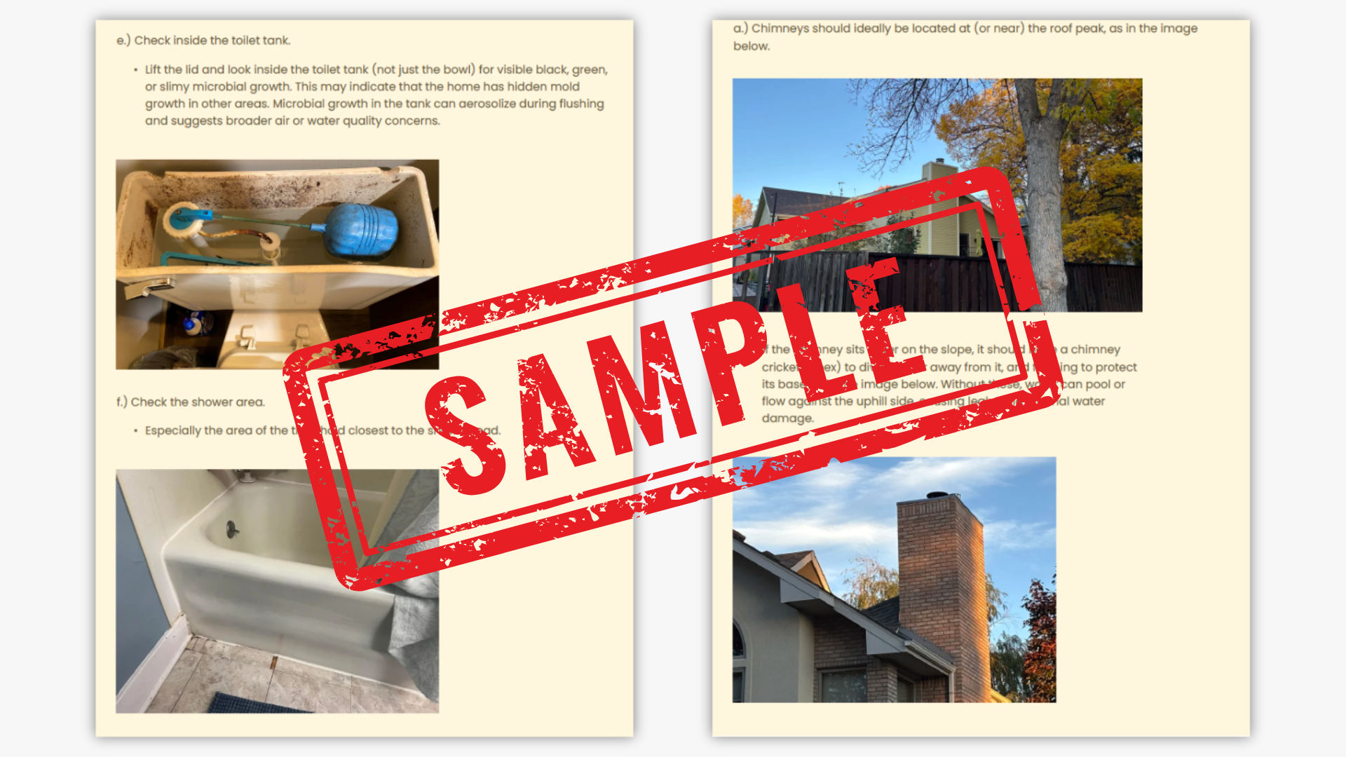 Copy of Your paragraph text.png