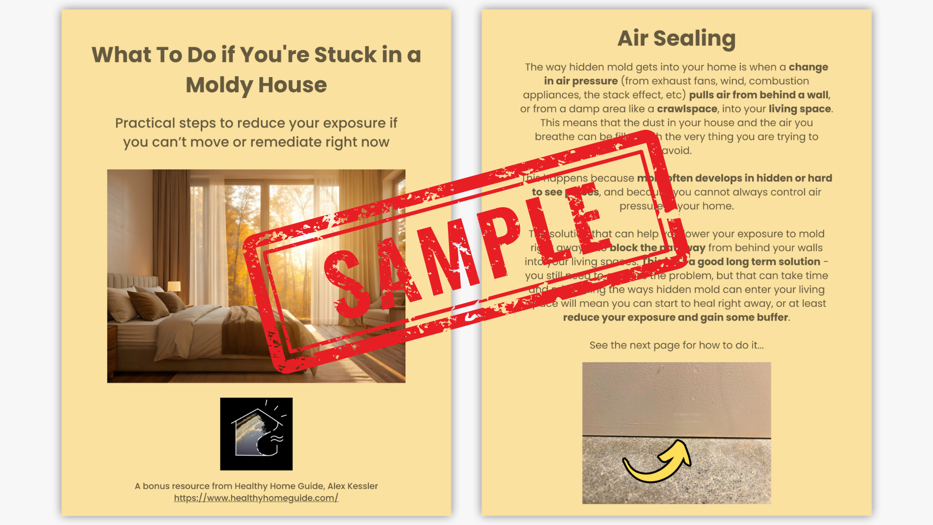 Copy of Copy of Your paragraph text(1).png