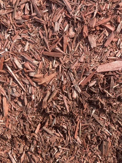red mulch.jpg