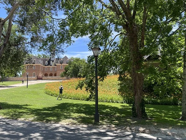 Palace Green