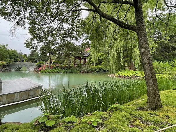 Japanese Garden