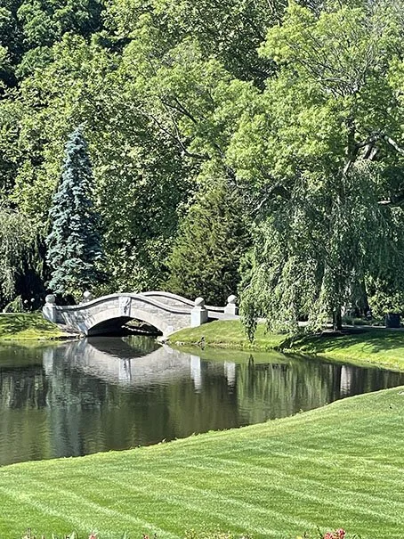 Amazing Gardens