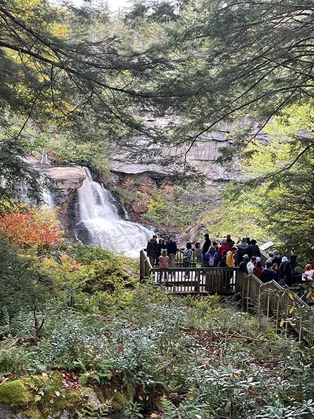 Overlook at the Falls