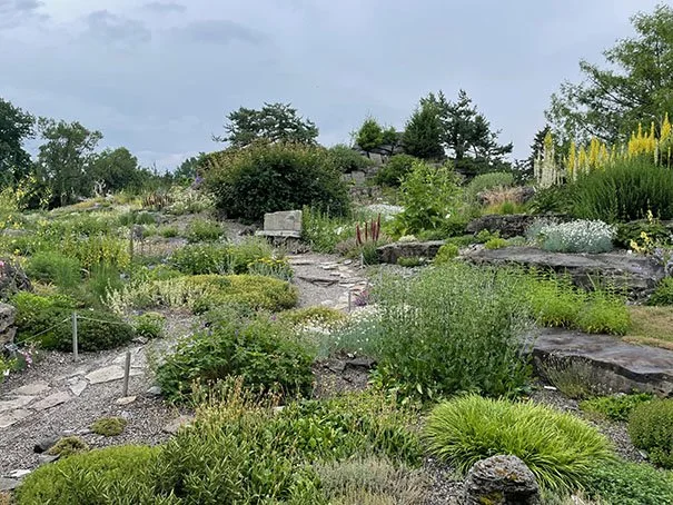 Alpine Garden