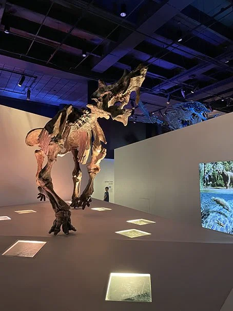 Houston Museum of Natural Science