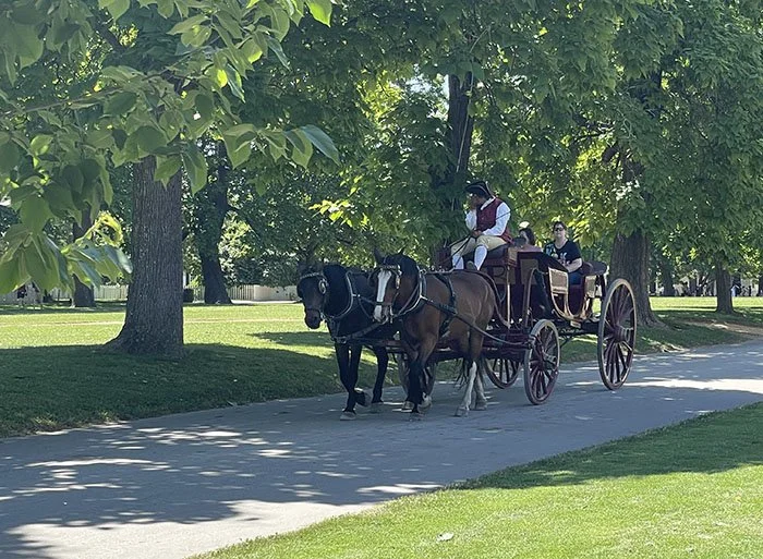 Carriage on Palace Green