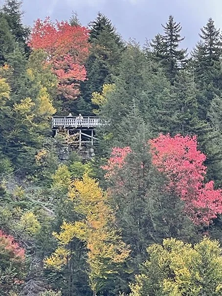 Fall Colors