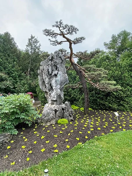 Chinese Garden