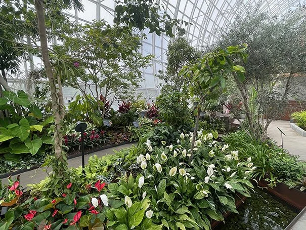 Myriad Botanical Gardens