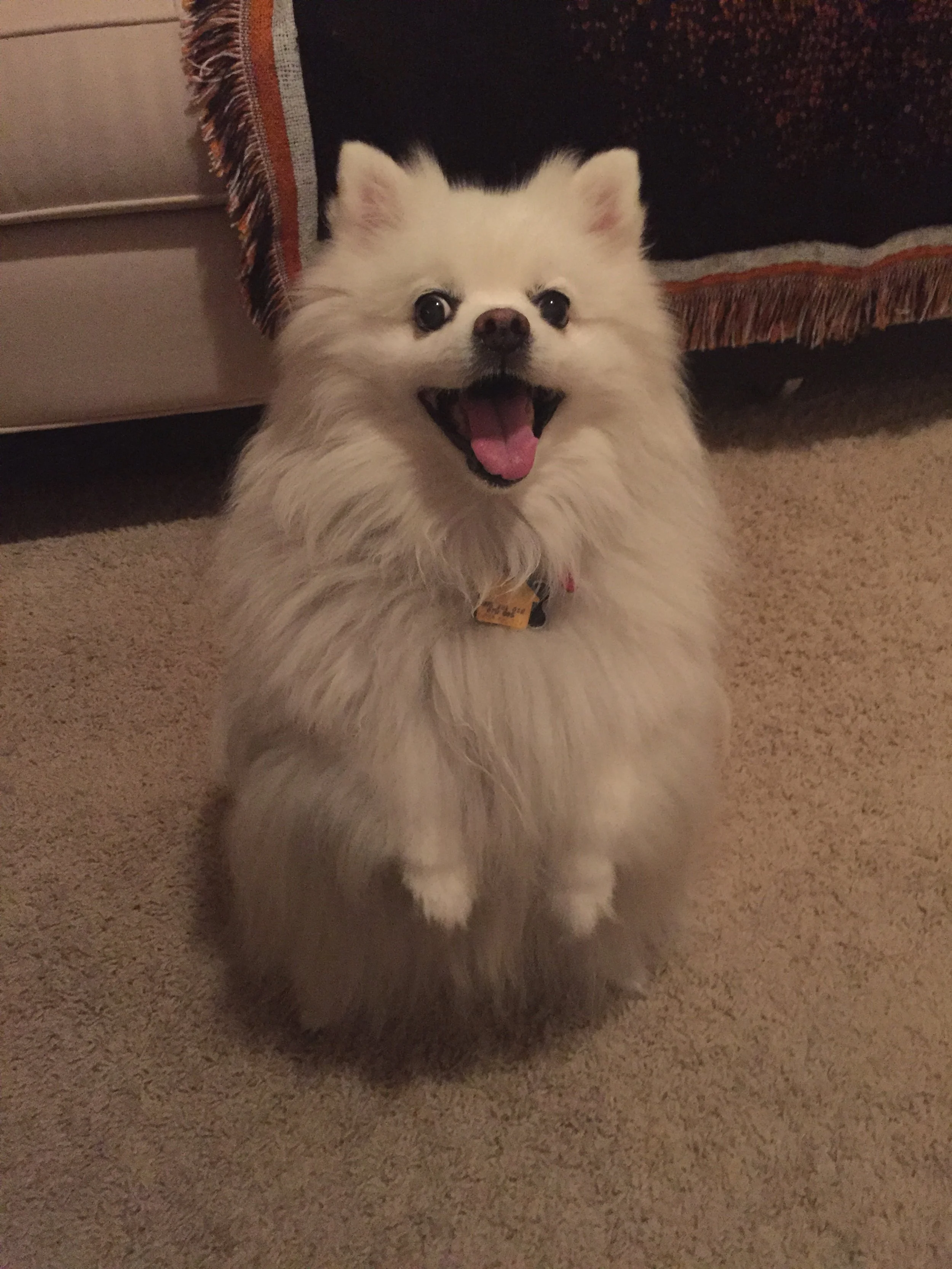 SnowBegging.JPG