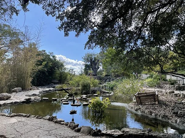 Zilker Botanical Garden