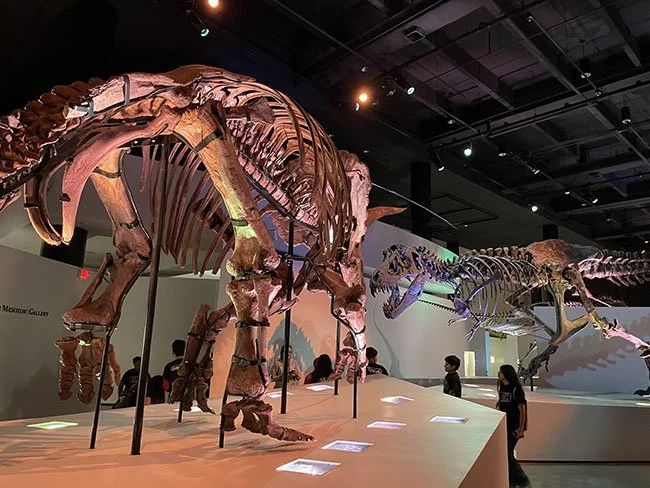 Houston Museum of Natural Science