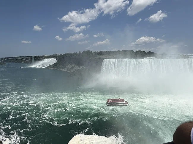 Horseshoe Falls, Viewing Area