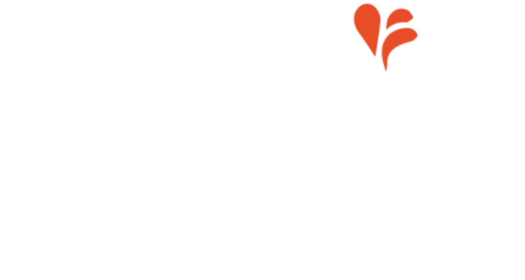LUMIN INSTITUTE