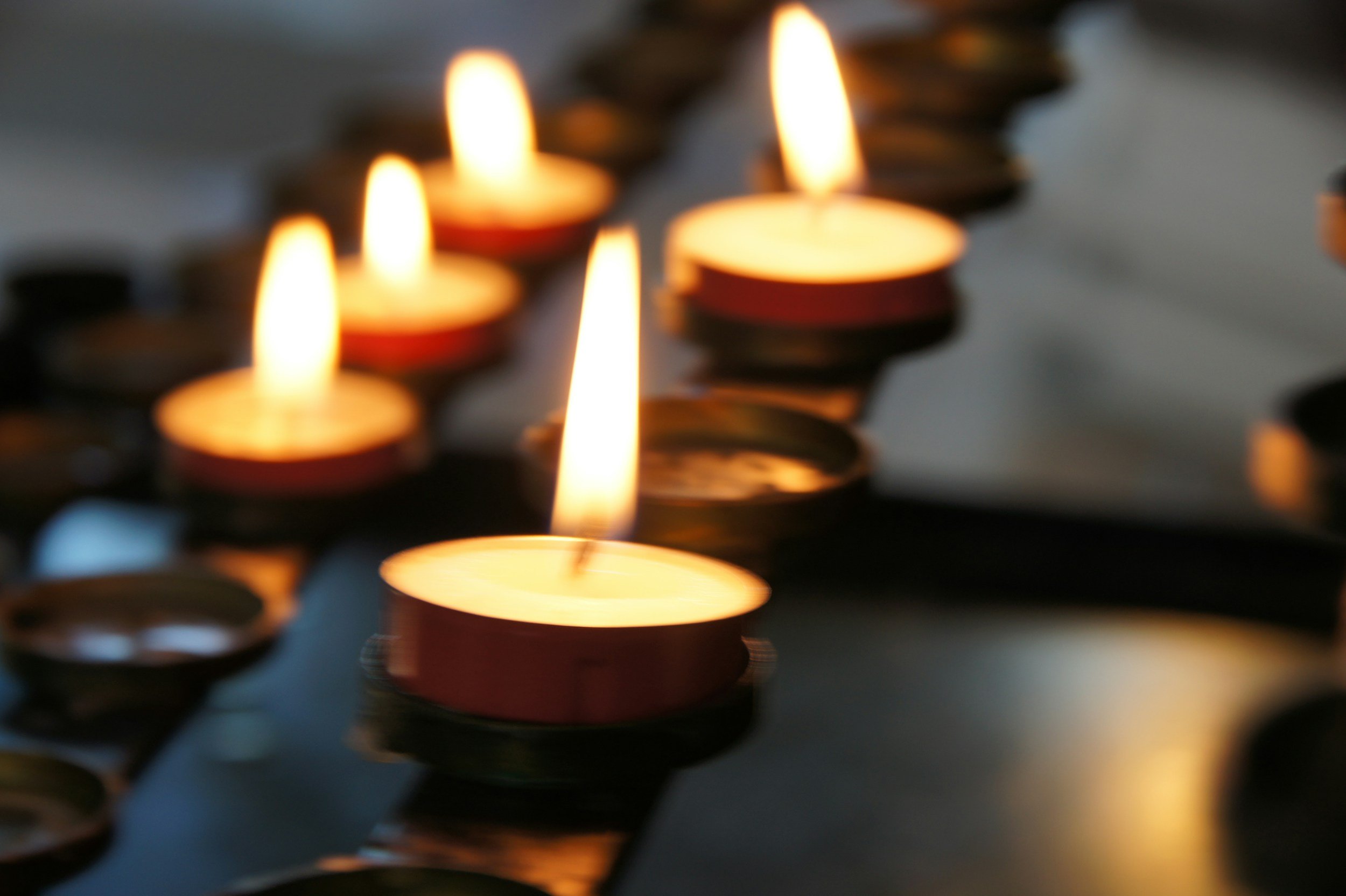 Grief vs. Mourning: What’s the Difference?