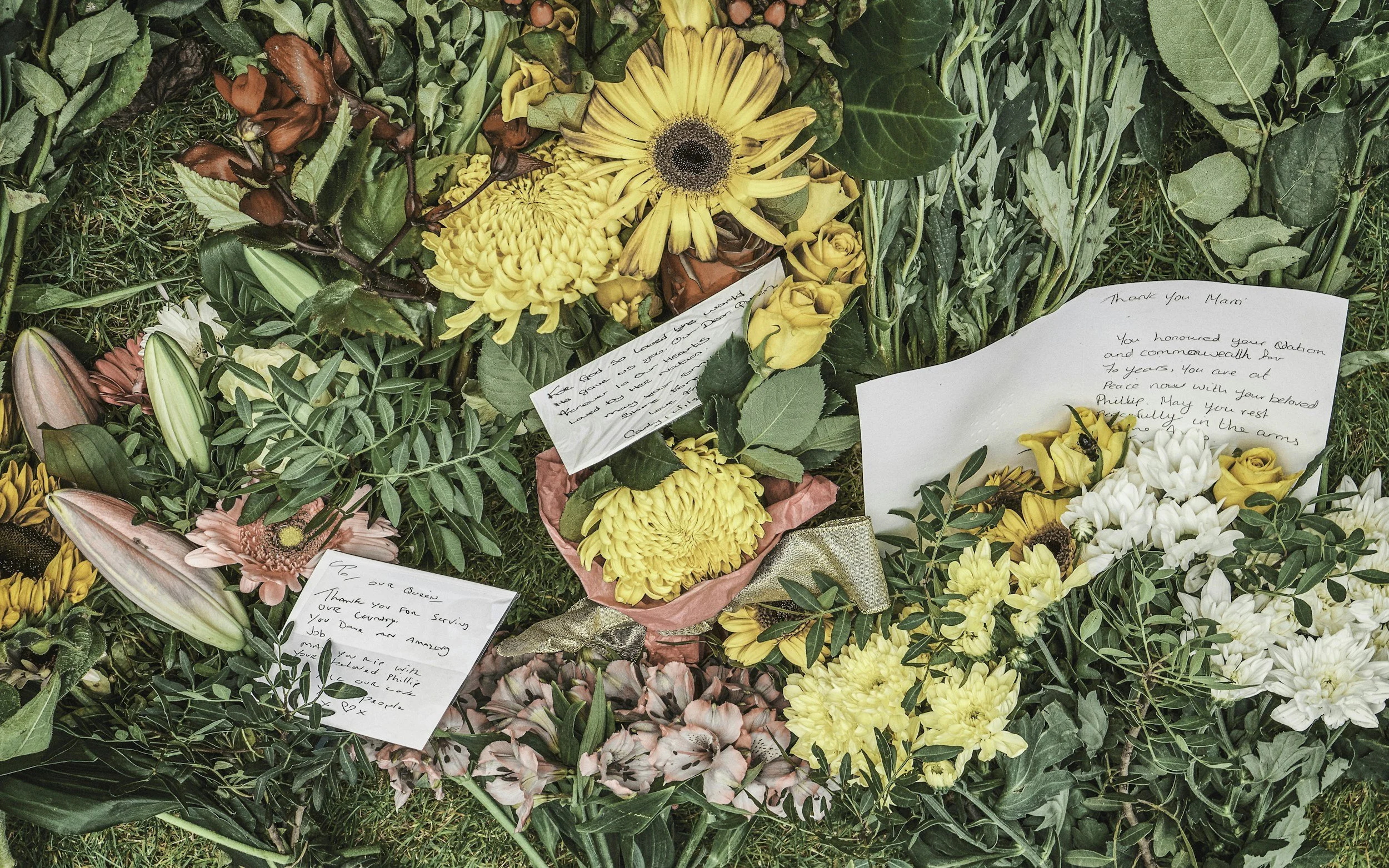 Carrying Love Forward: Healing Through the Four Tasks of Grief