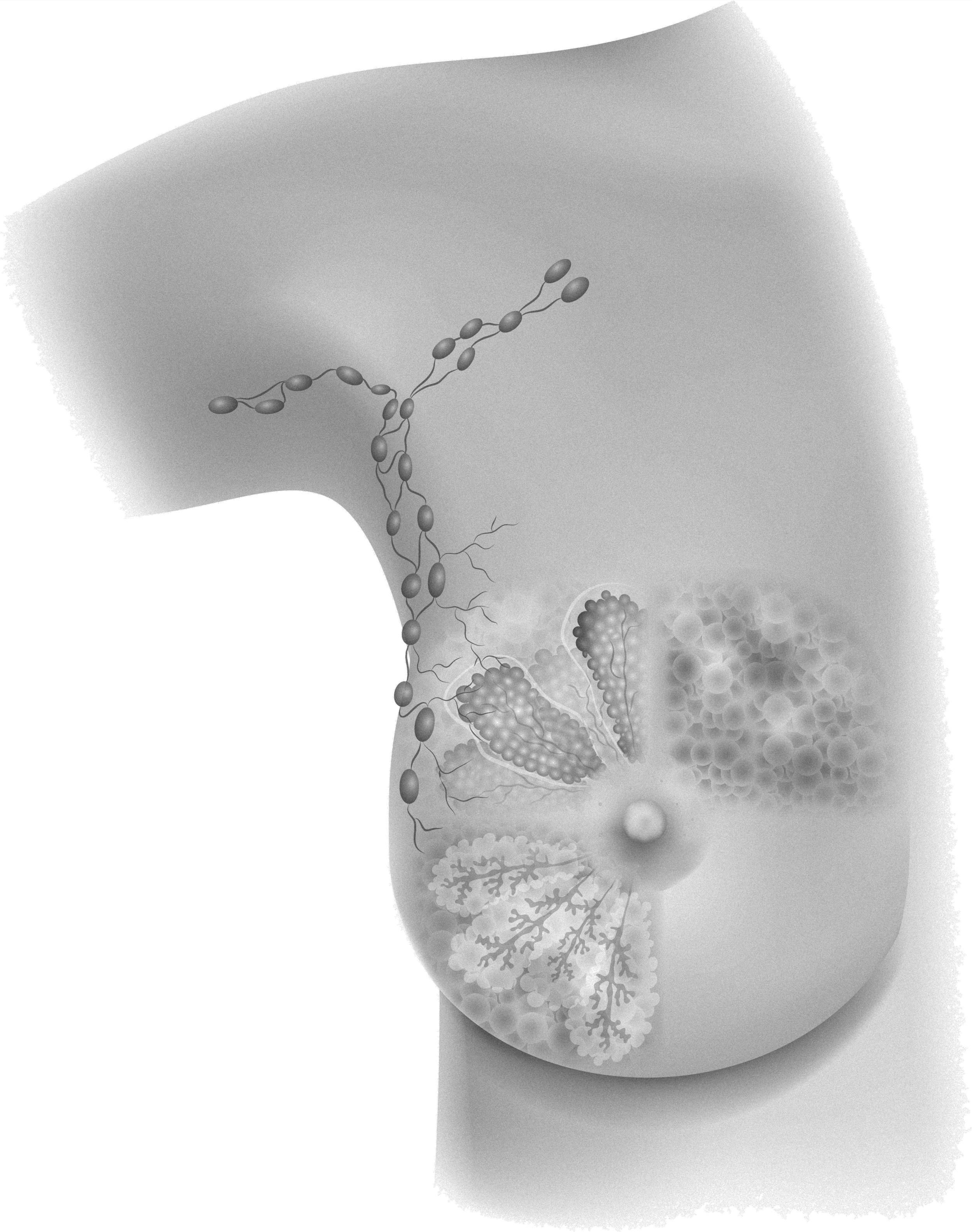 Lymphatic drainage for breast and chest health