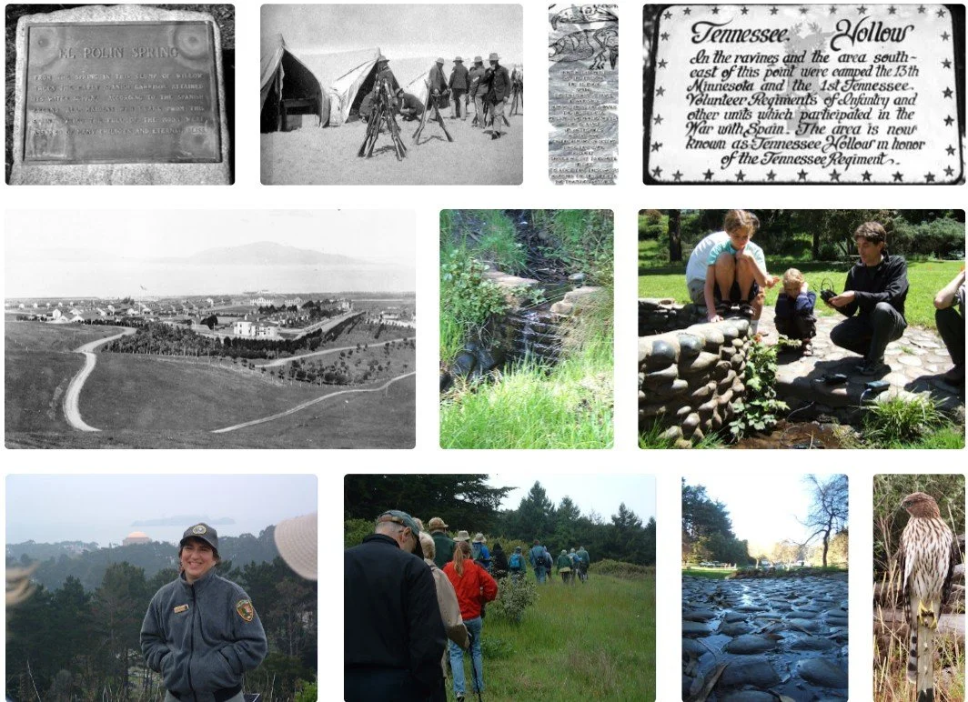 Nature Walk in Tennessee Hollow - How Community Scientists Spurred a 20 Year Restoration