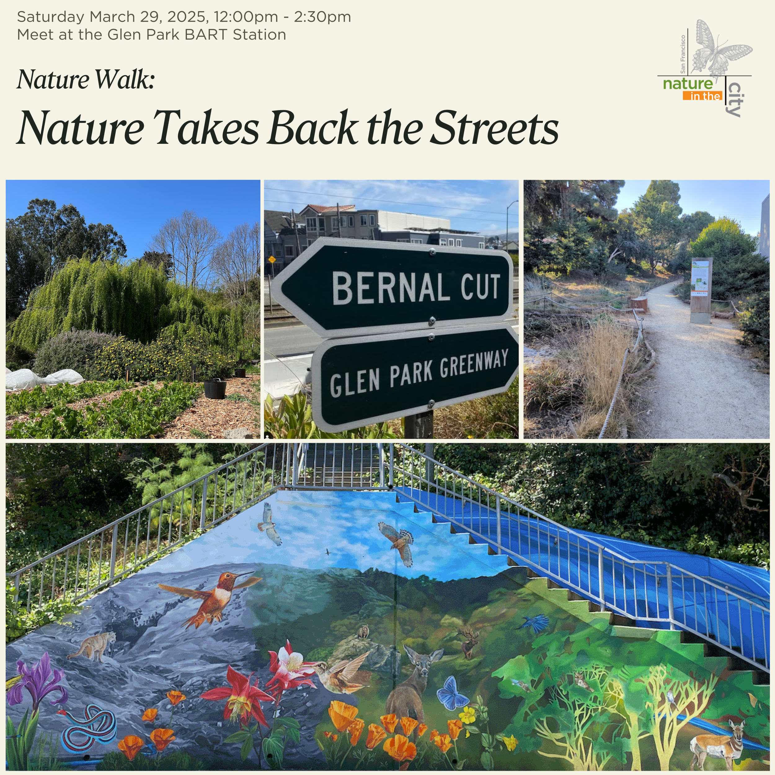 Nature Takes Back the Streets