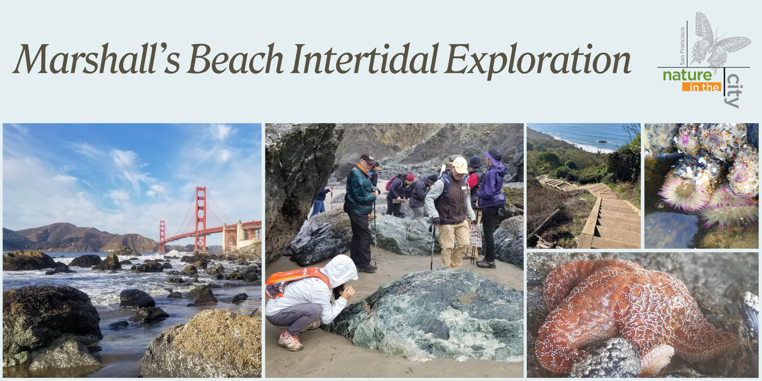 Marshall's Beach Intertidal Exploration