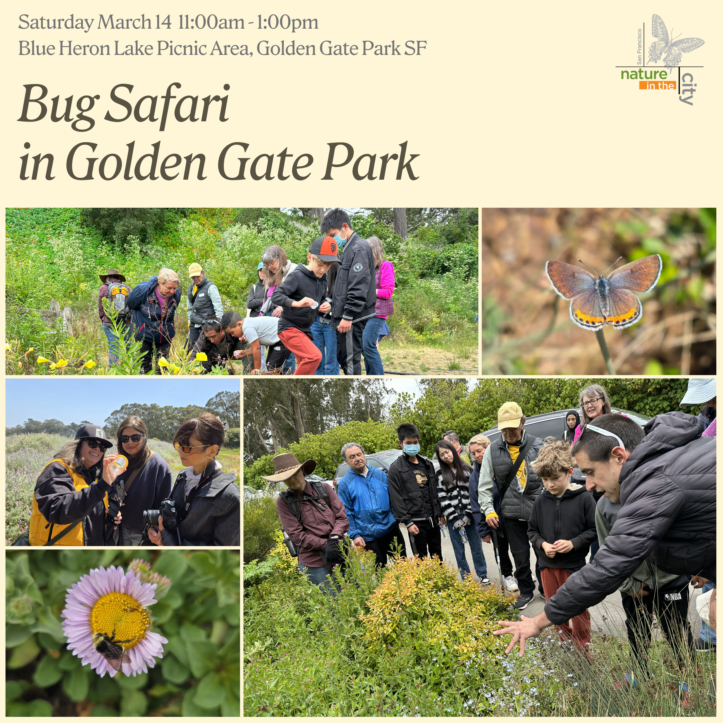 Bug Safari in Golden Gate Park