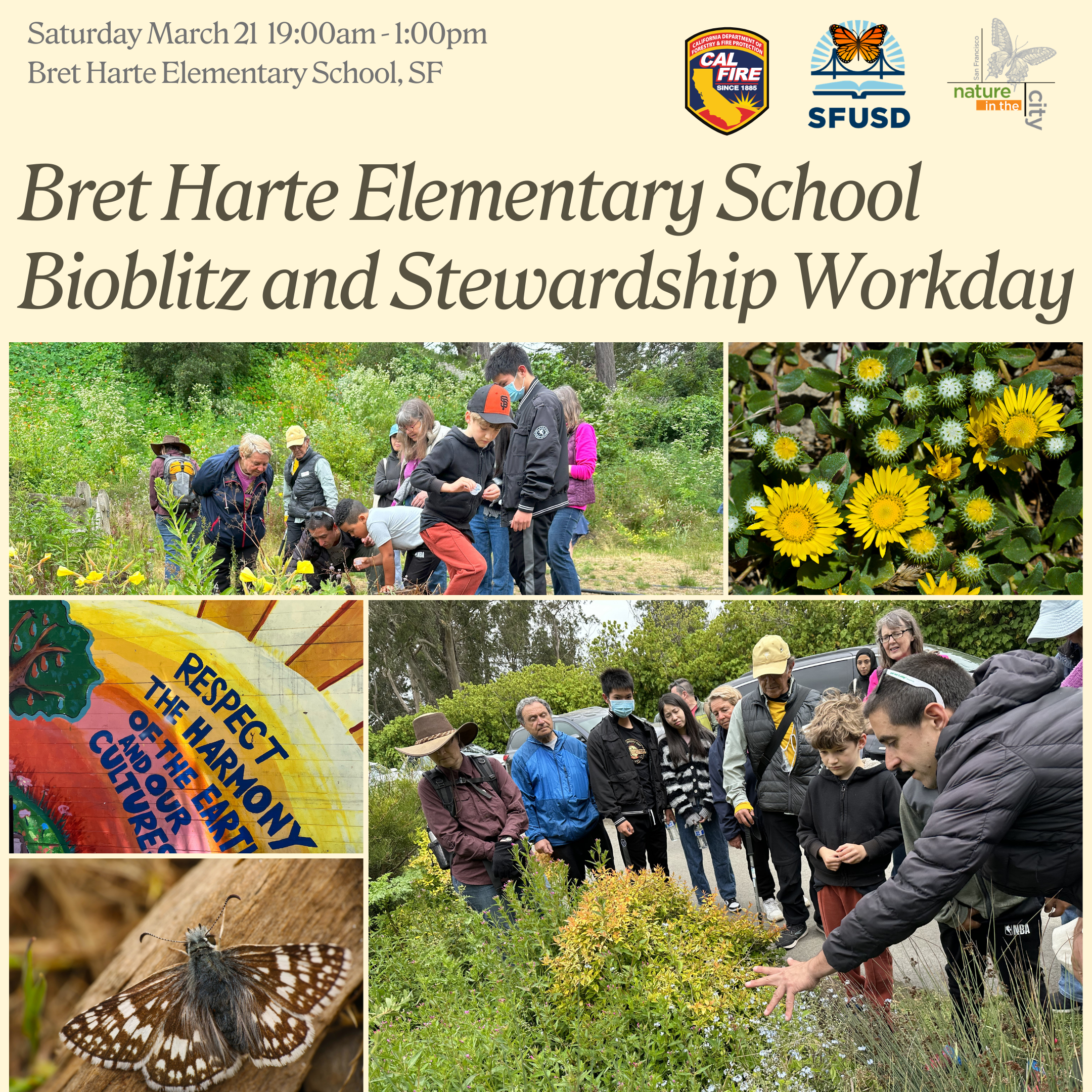 Bret Harte Elementary School Bioblitz and Stewardship Workday