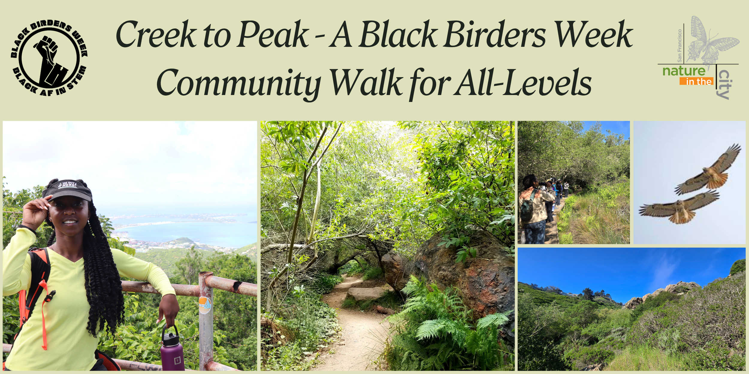 Creek to Peak - A Black Birders Week Community Walk for All-Levels