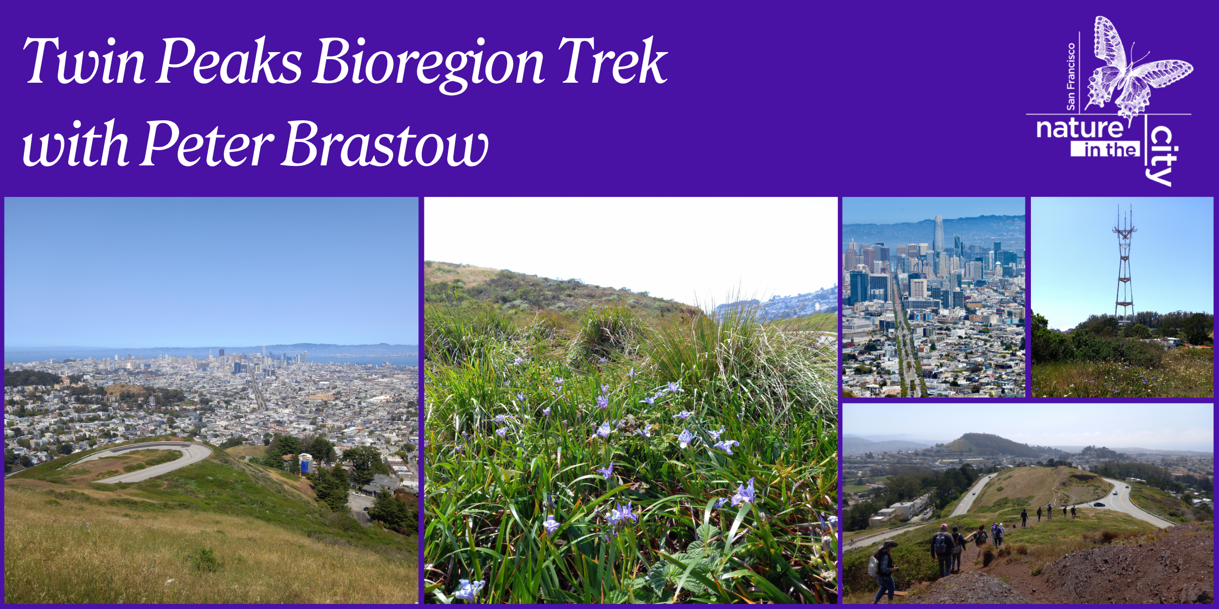 Twin Peaks Bioregion Trek