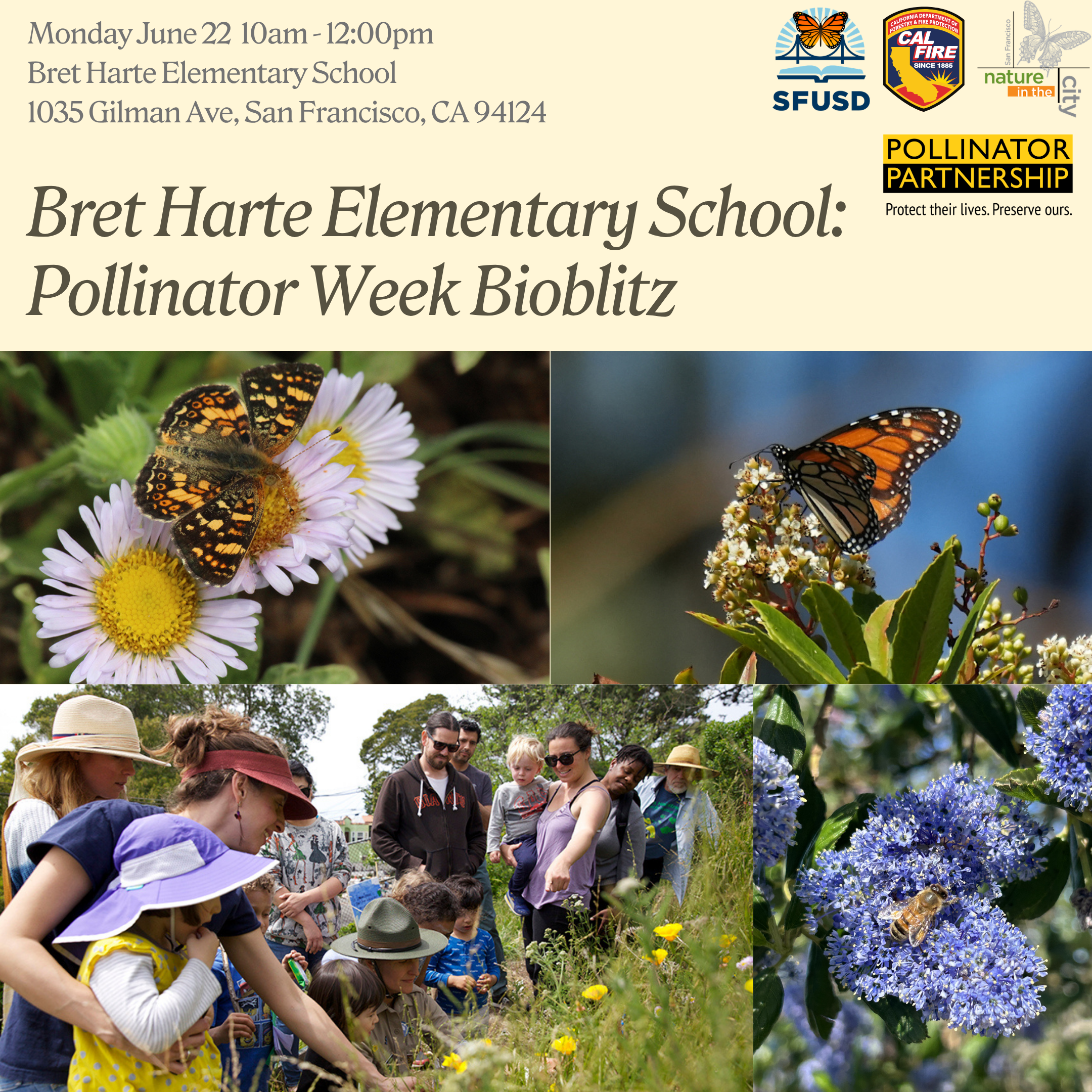 Pollinator Week BioBlitz at Bret Harte Elementary School 