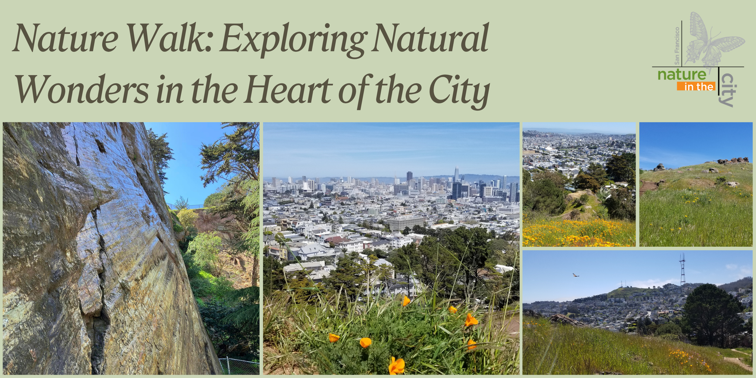 Nature Walk: Exploring Natural Wonders in the Heart of the City