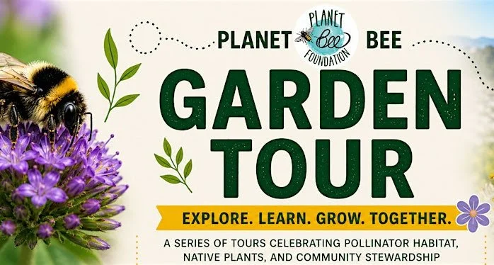 Native Bee Garden Tour: Green Hairstreak Corridor 
