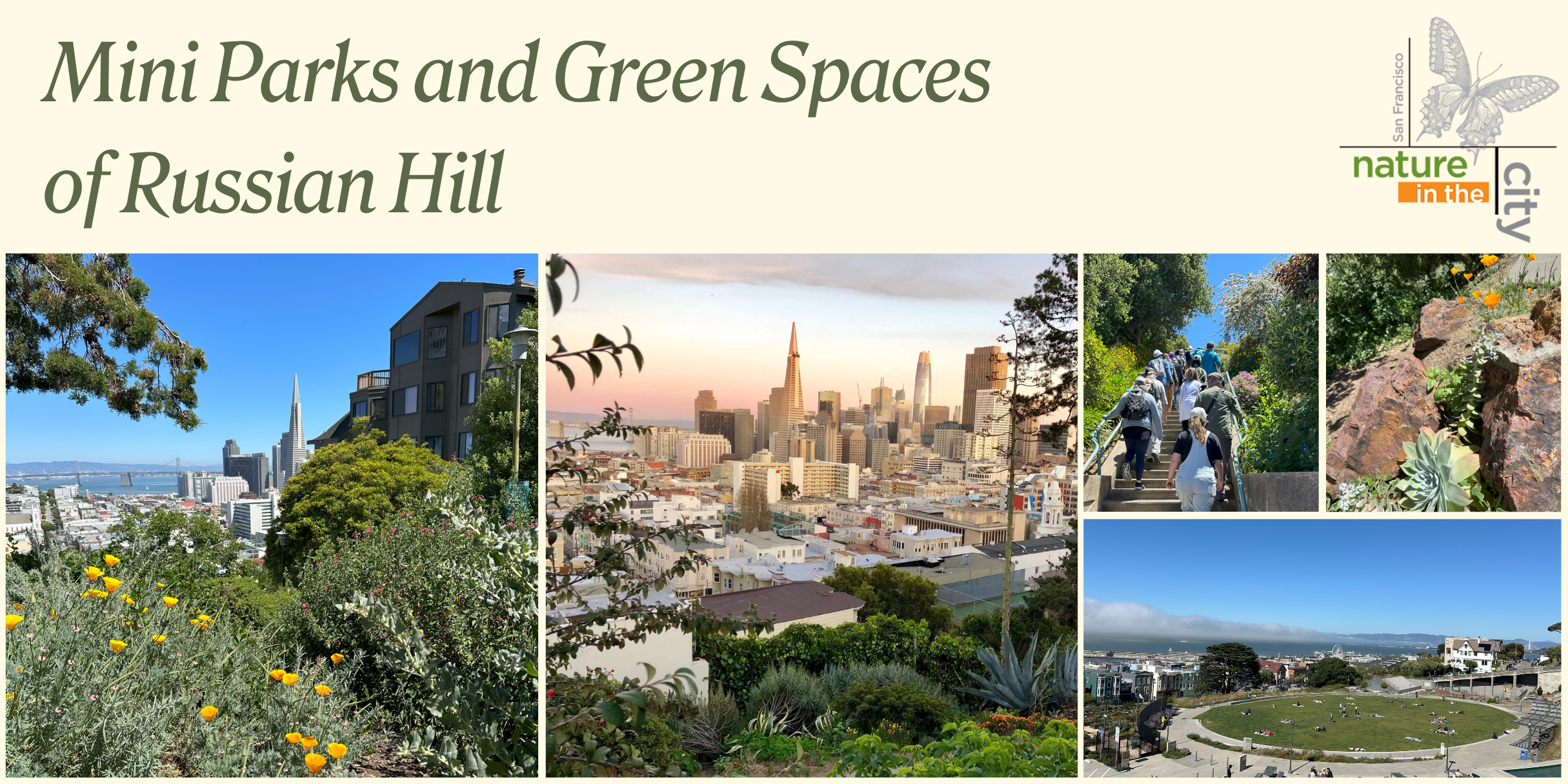 Nature Walk: Mini Parks and Green Spaces of Russian Hill