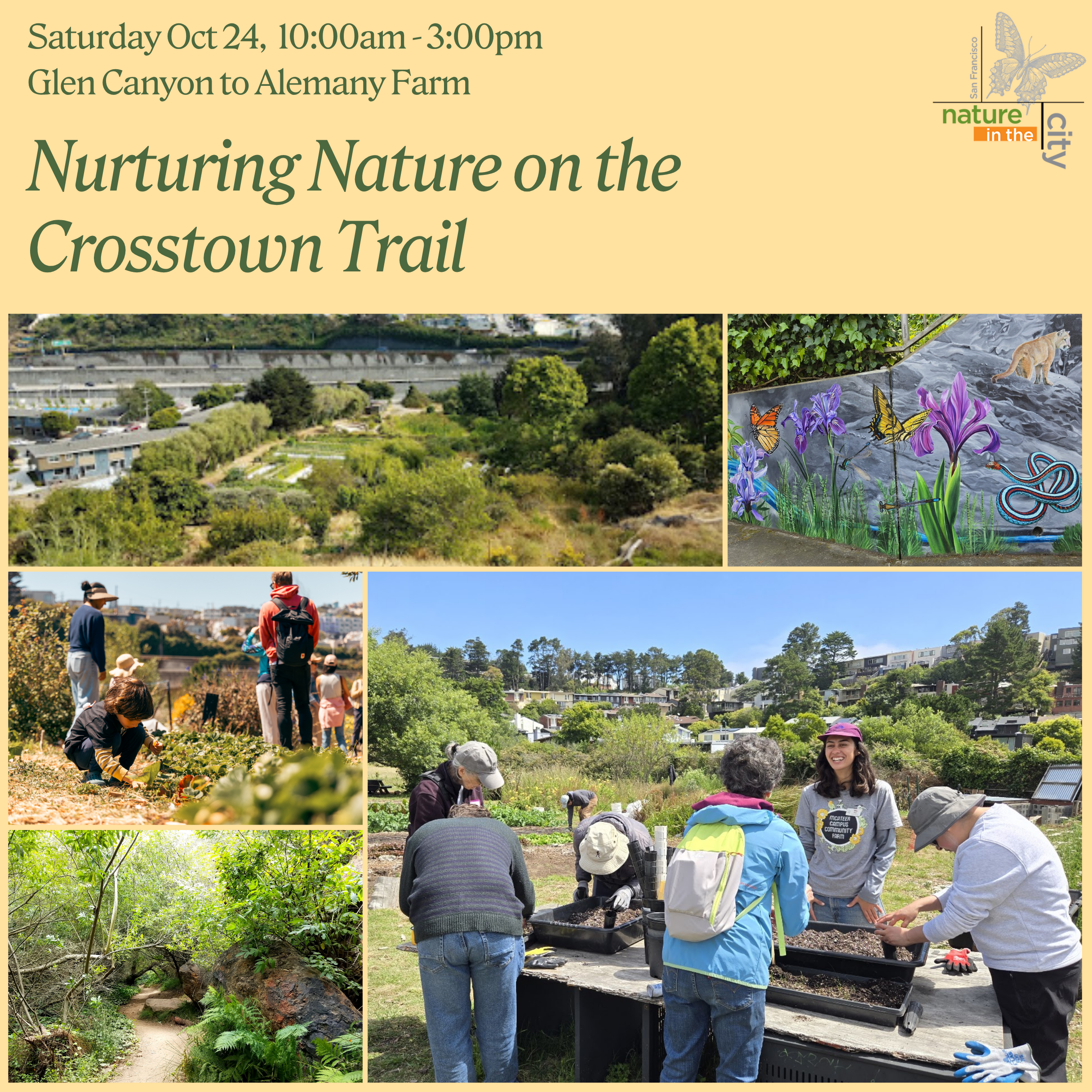 Nurturing Nature on the Crosstown Trail