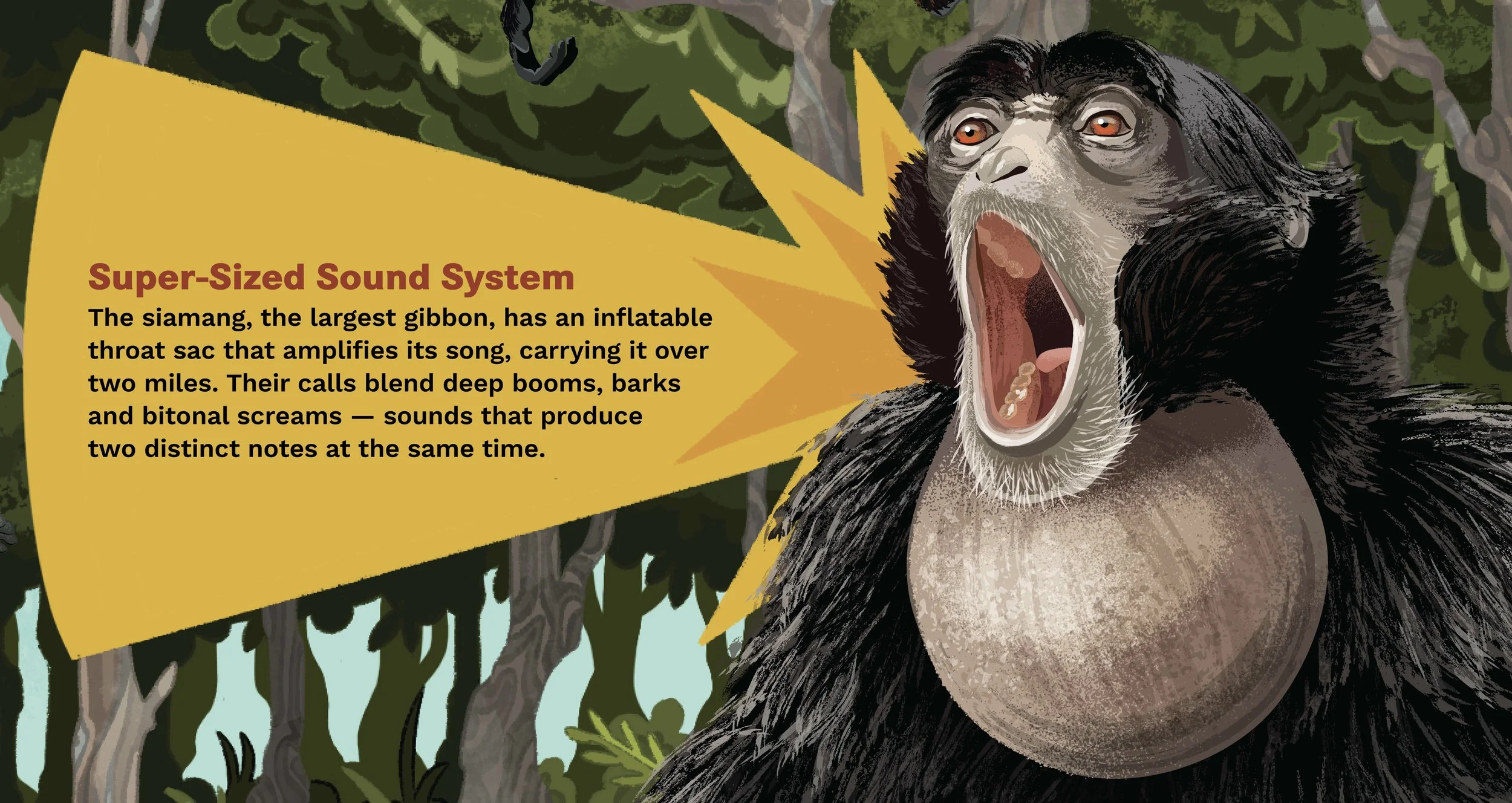 Gibbon Conservation Center - Opening Signage