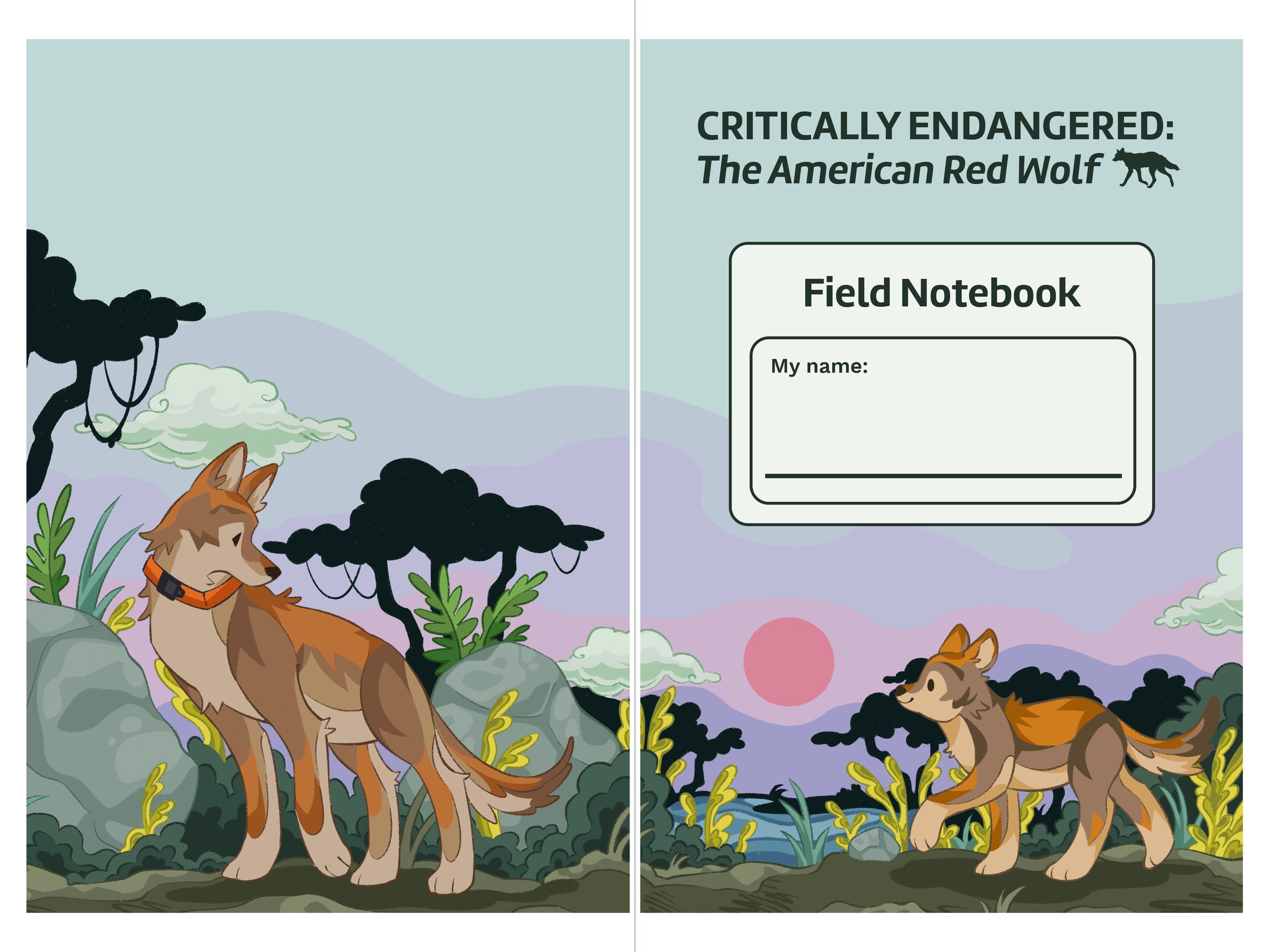 Cedar's Activity Book