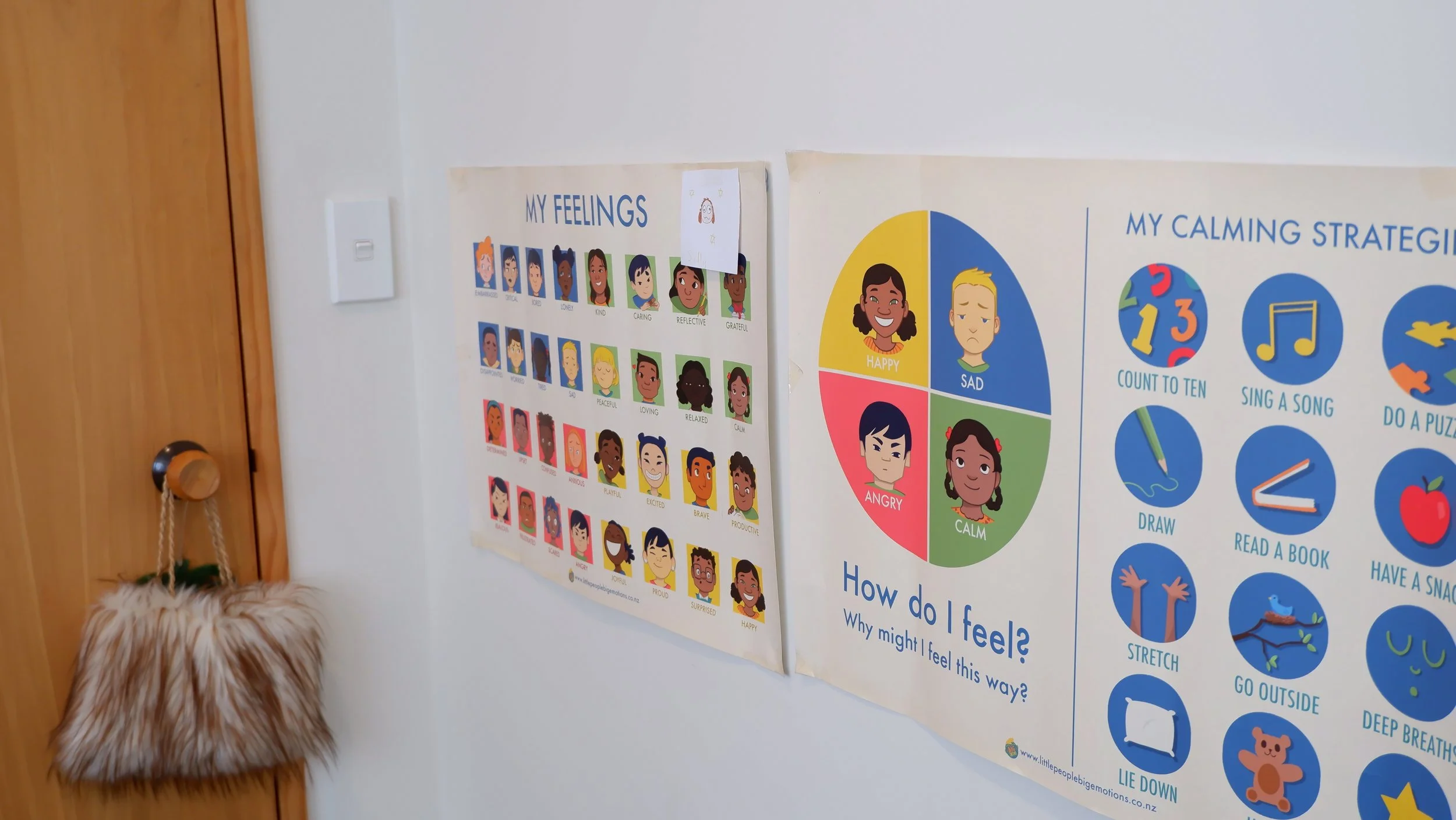 Wall with posters about emotions and calming strategies for children, including a chart of feelings with animated faces and a circle chart showing different emotions, and a poster with calming activities like counting, singing, drawing, and reading.