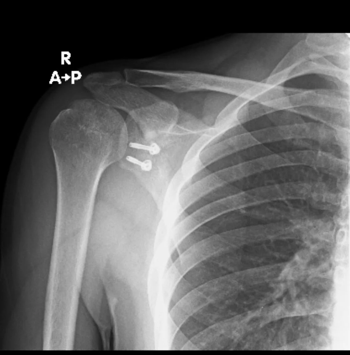 WhatsApp Image 2024-09-10 at 6.37.55 PM.jpeg