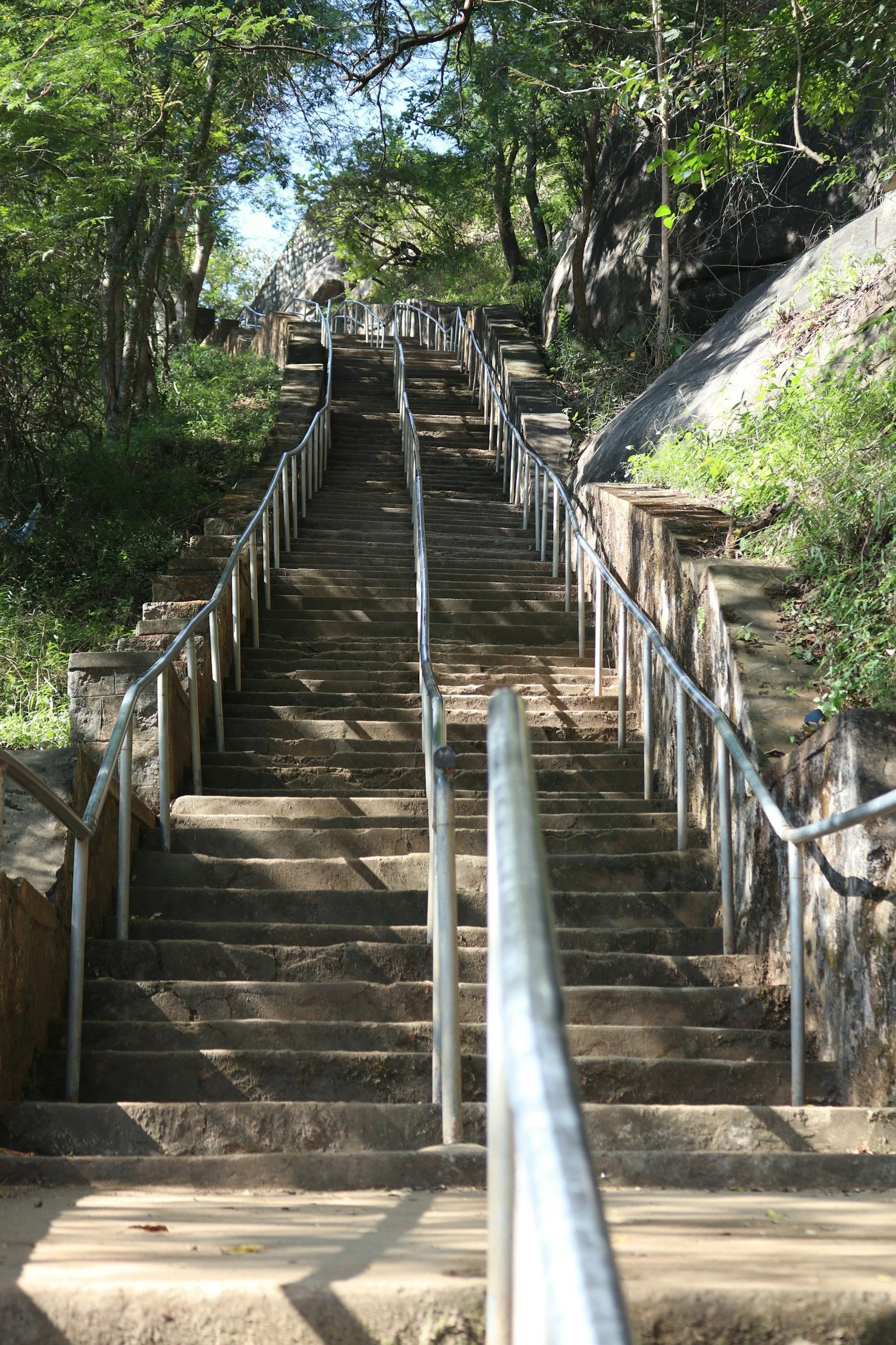 Concrete outdoor staircase with metal handrails, ascending through a lush green wooded area on a sunny day.