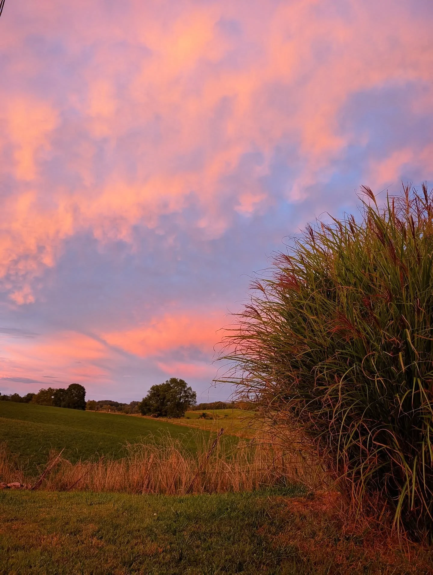 Waves of golden cloud

#orange #sunset #evening #eveningwalk #sunsetlovers #sunsetphotography #silhouette #lastlight #pink #clouds #blue #clouds #whisp #golden #goldenhour #golden #tree #hill #sky #purple

#landscape #landscape_lovers #nature #nature