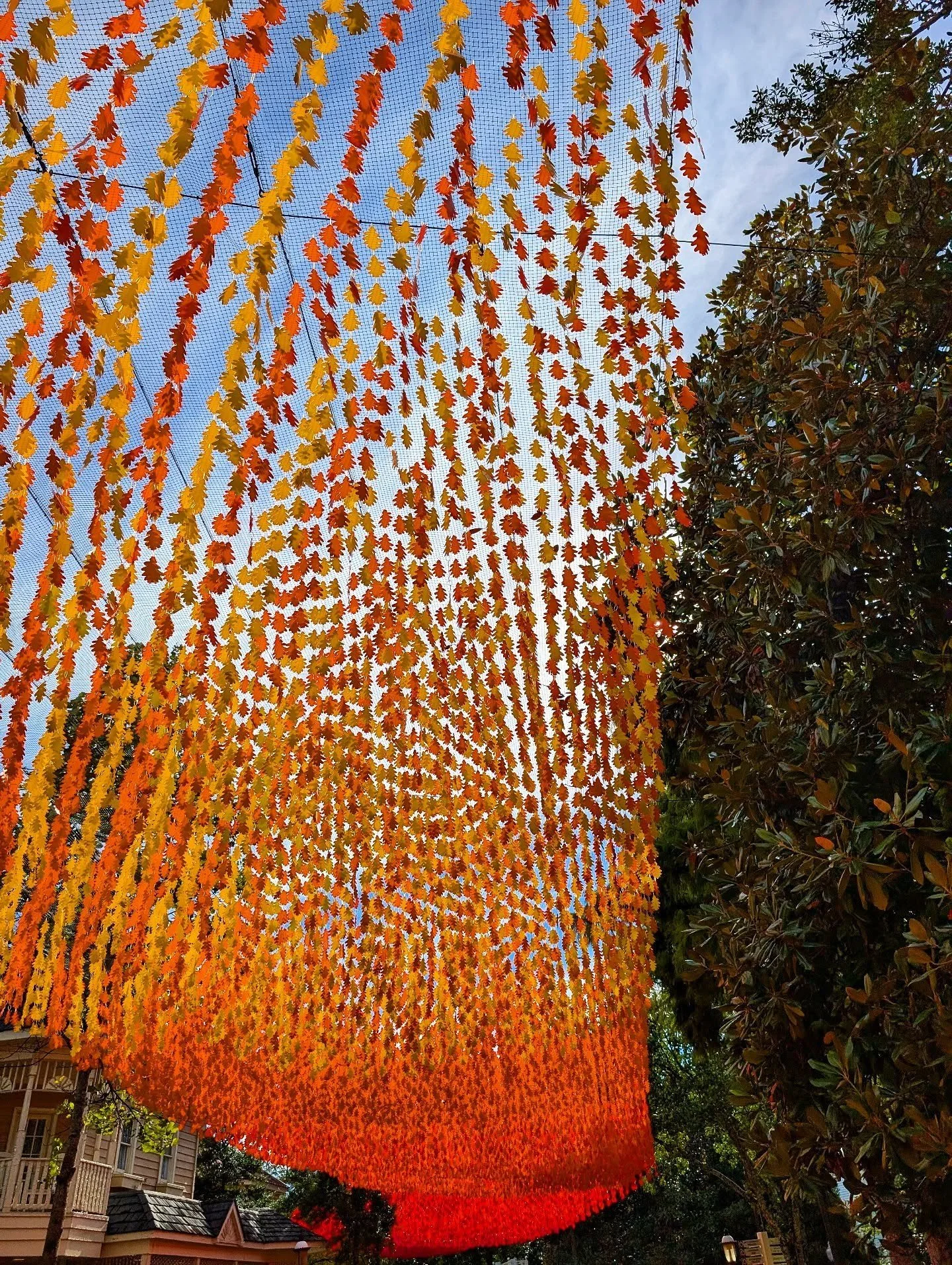 A river of leaves at Dollywood

#dollywood #leaves #leaf #trees #fall #falldecorations #autumn #autumnleaves

#travel #appalachia #pigeonforge #tennessee #notallwhowanderarelost