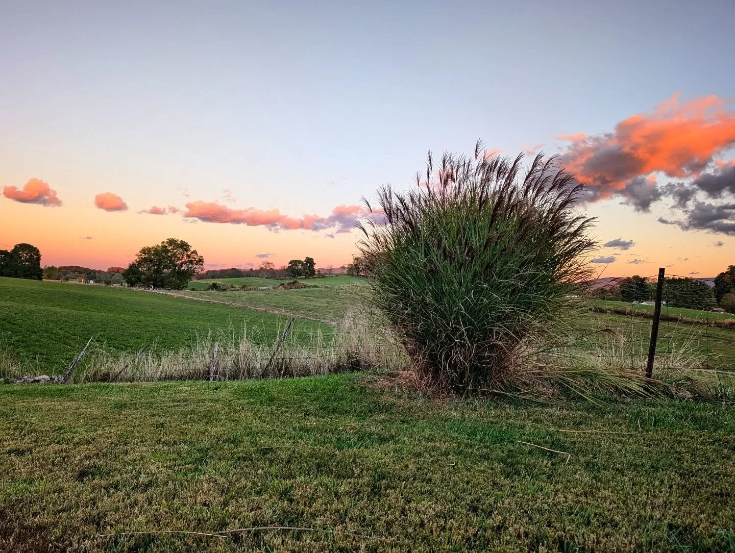 Orange band and Autumn Grass

#sunset #sunsetlover #dusk #orange #cloud #orangeclouds #afterglow #grass #field

#nature #landscape #hills #mountains #appalachia #appalachianmountains #virginia #swva #country #ruralvirginia #notallwhowanderarelost