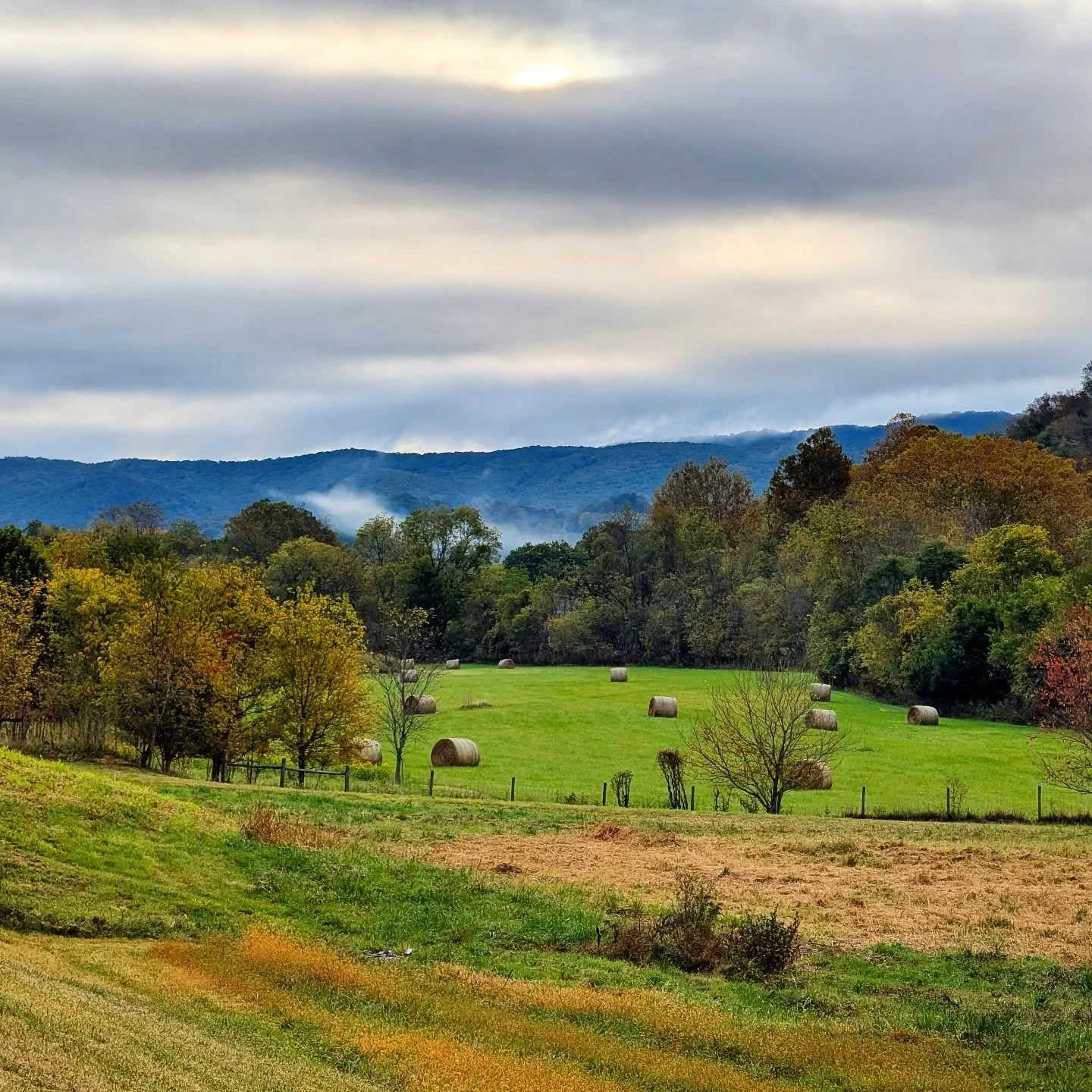 Hay Field in Autumn 

#hay #field #autumn #fall #folliage #colors #fog #morning #golden #green #blue #blueridgemountains #mist #trees 

#nature #landscape #appalachia #appalachainmountains #mountains #mountainviews #virginiamountains #virginia #swva 