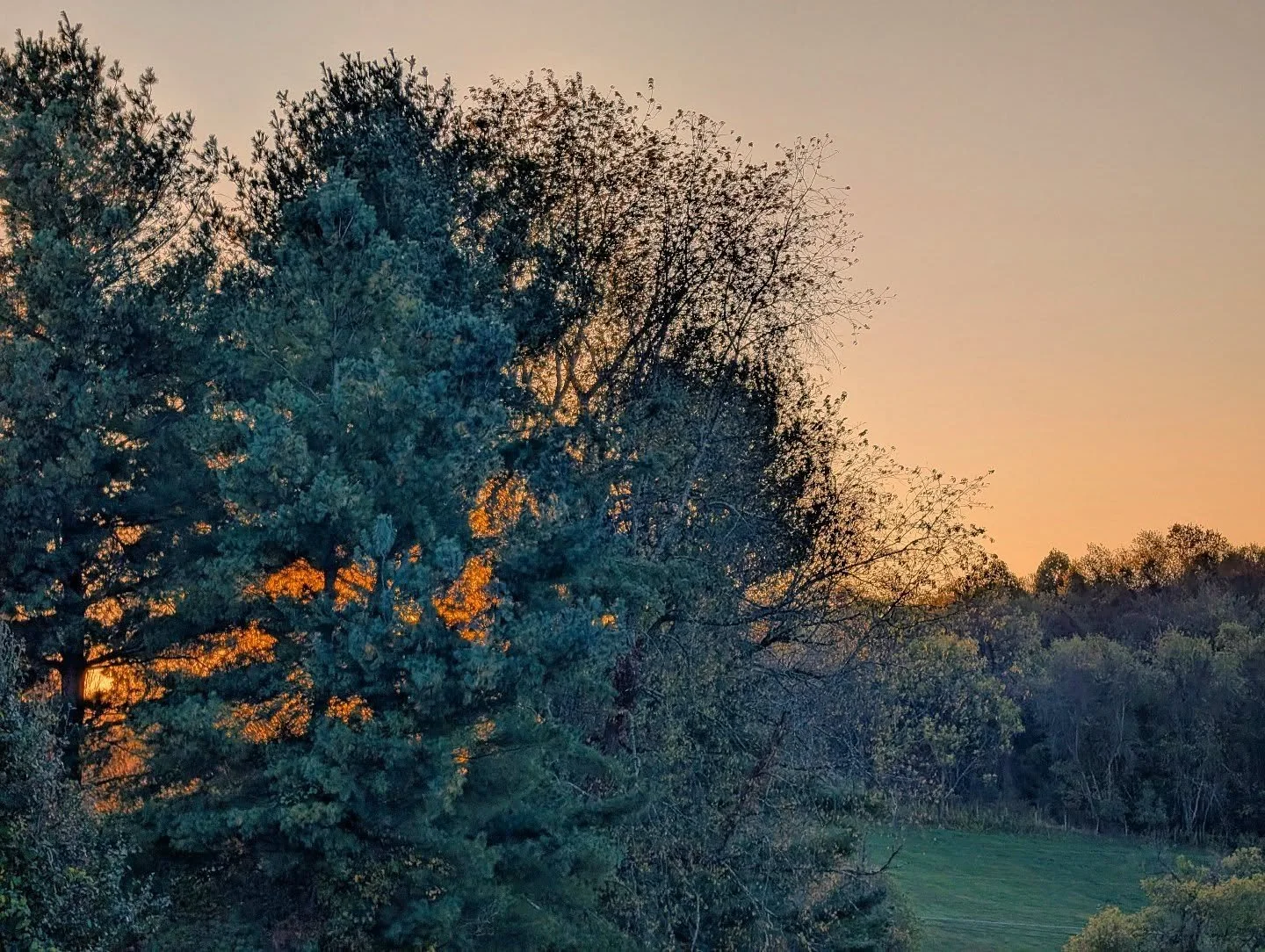 The glow behind the evergreens 

#evergreen #evergreens #pine #pines #inthepines #fall #forest #trees #glow #orange #sun #lastlight #green 

#nature #naturephotography #landscape #landscapephotography #sunset #sunsetlover #dusk #appalachia #appalachi