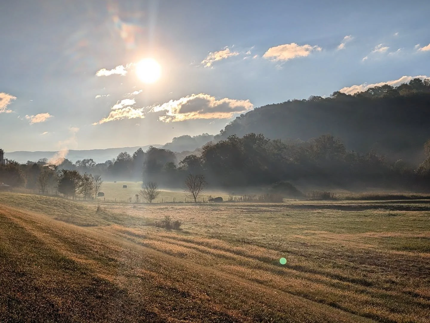 Golden Hill

#golden #grass #sunrise #sunriselover #dawn #mountains #mistymorning #mistymountains #morning #morningglow #morningwalk #goldenhour #field #grass #sky

#landscape #landscapephotography #nature #naturelovers #appalachian #appalachia #appa