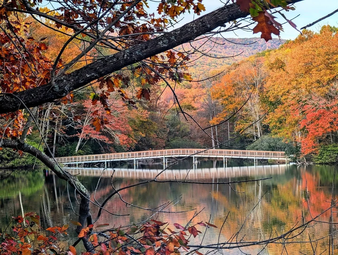 The Bridge

#bridge #water #lake #reflection #fall #autumn
#autumnleaves #fallcolors #hungrymotherstatepark
#hungrymother #virginiamountains #fallinvirginia #orange 

#landscape #landscape_lovers #nature #naturegram #naturephotography #appalachia #ap