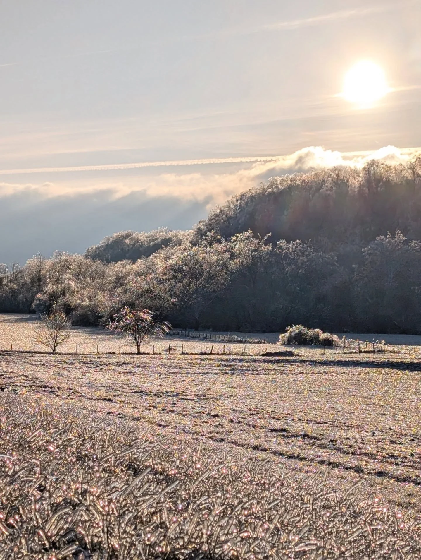 Sparkle on the ice

#sparkle #ice #morning #appalachia #notallwhowanderarelost