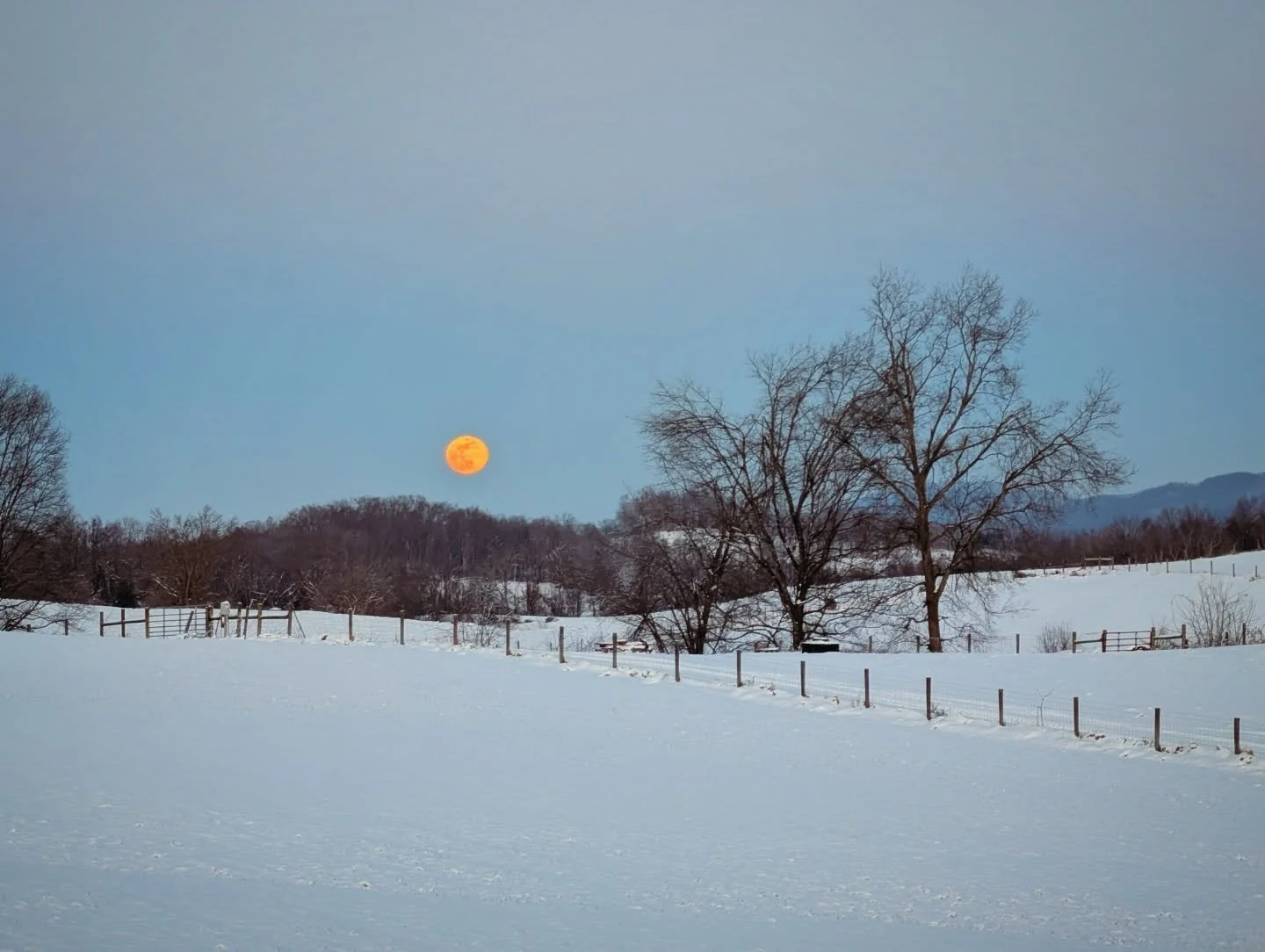 Moonrise over snow

#moon #snow #moonrise #mountains #notallwhowanderarelost