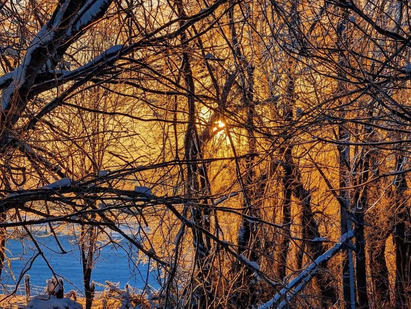 Blue and Gold

#golden #winter #sunrise #morninglight #notallwhowanderarelost