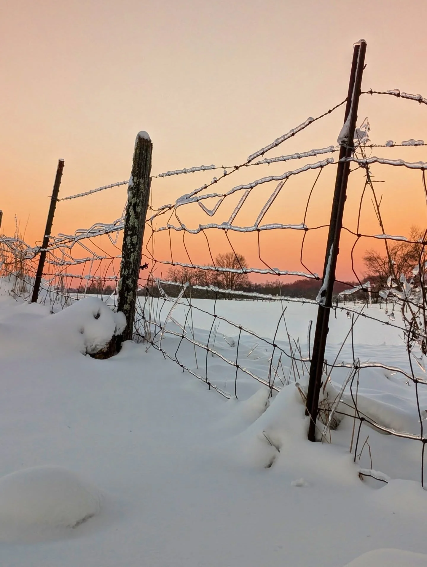 Dusk at the fence 

#pink #sunset #eveningwalk #ruralamerica #notallwhowanderarelost